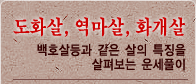 ȭ쿪ȭ